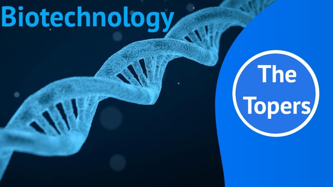What is Biotechnology and its impact (BS Biotechnology) » The Topers